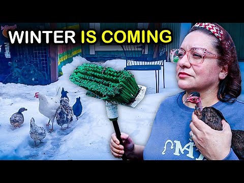 A Warning about Backyard Chickens in Winter (no one says this!)