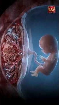 తల్లి కడుపులో రెండు సార్లు పుట్టిన బిడ్డ..టెక్నాలజీ మాయ #twicebornbaby #racharamulamma | WISE TV
