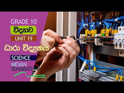 Grade 10 - Science - Unit 19 - Free Seminar