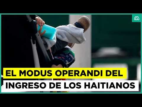 El modus operandi del ingreso de los niños haitianos a Chile: utilizan tutores