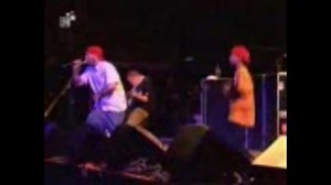 Limp Bizkit - My Way [Live in Germany]