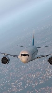 50K views · 554 reactions | What Caused The Pilot To Freeze? | MenTour Pilot | Facebook