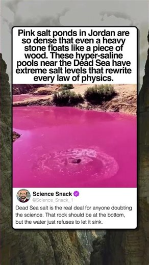 DEAD SEA PINK LAKES FLOAT STONES