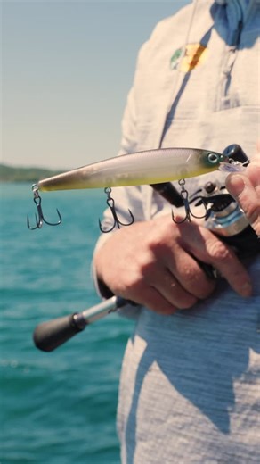 Bass Pro Shops on Instagram: "KVD's biggest tip for fishing a jerkbait? Keep it in the strike zone as long as possible! Figure out how to do that is this week's KVD Tip of the Week!"