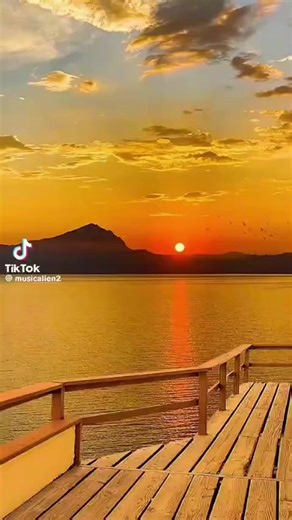 Videos de RadarLab (@ia_empresarial) con “Paraiso De Sal - LEOPOLDO”