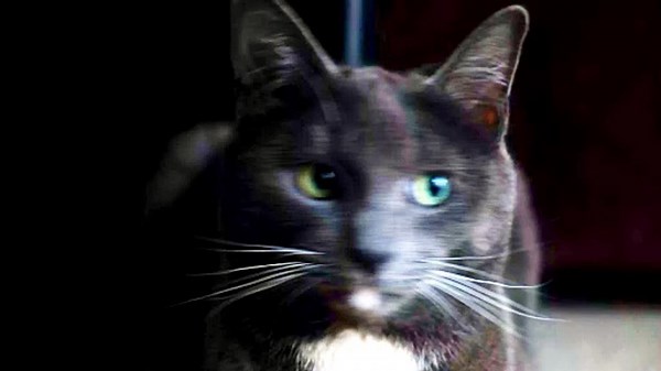 Video Upload test via API - 2026-04-28 15:00