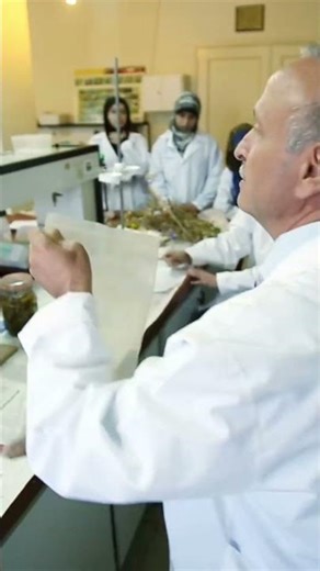 Why Your Time Machine Explodes on Startup