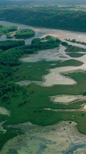 The Mississippi River: America’s Lifeline