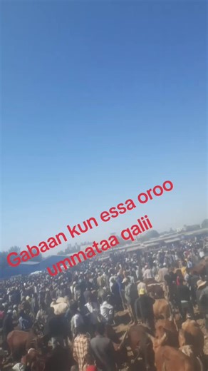 falmii mucaa shawaa (@falmi.eshetu)’s videos with original sound - bbbbbbbbbbbbbbbbbbb