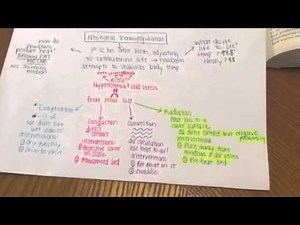 Neonatal Thermoregulation