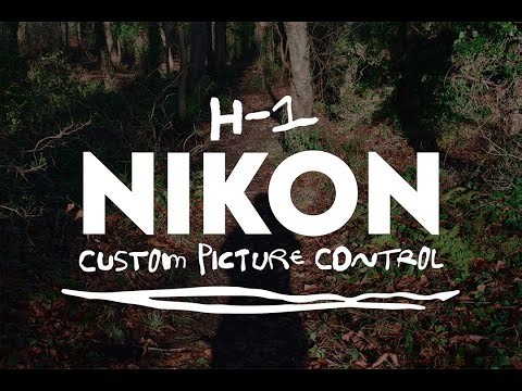 A Nikon Picture Control Inspired by Fujifilm Pro 400H (H-1)