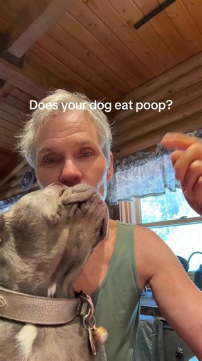Why Does My Dog Eat Poop? Causes and Solutions