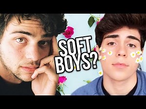 SOFT BOYS EXPLAINED!