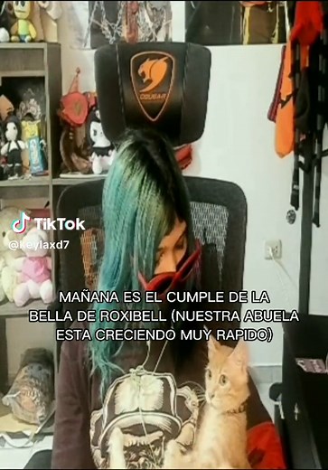 Felicitaciones a Roxi por su cumpleaños | RoxyCake Face Reveal