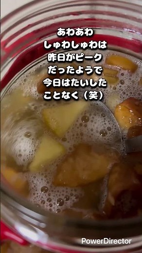 りんご酢作り15日目#自家製#りんご酢