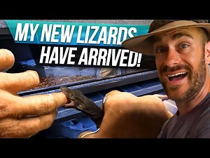 Total Vision Cage Setup for our New Black Dragon!