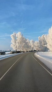 One question about the weather in Estonia 🇪🇪 #fyp #winter #estonia | GramofEstonia