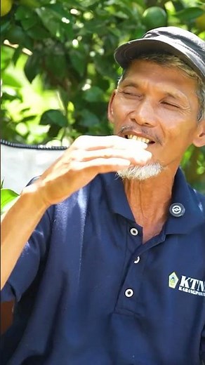 Baru 3–5 Tahun, Jeruk Siem Sudah Produksi 50 Kg per Pohon!