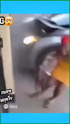 13K views · 38 reactions | Little puppy dog saved owner from being crushed by a car #fypシ゚ #viralreels #fyp #trend #everyone #trending #animals | Sude Erdoğan | Facebook