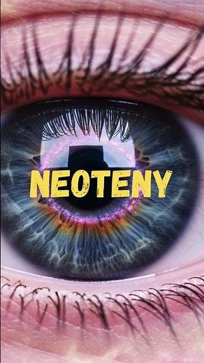 Neoteny: The Future of Human Evolution? #HumanEvolution