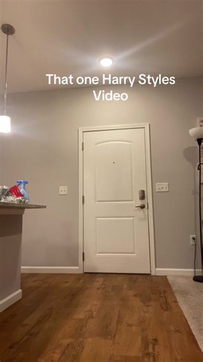 Harry Styles' Dance Moves: The Kiwi Kicks Explained