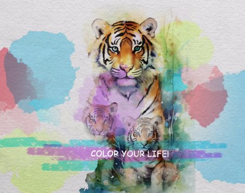 Enchanted Forest Coloring Pages: 30 Grayscale Magical Scenes (PDF) - Etsy