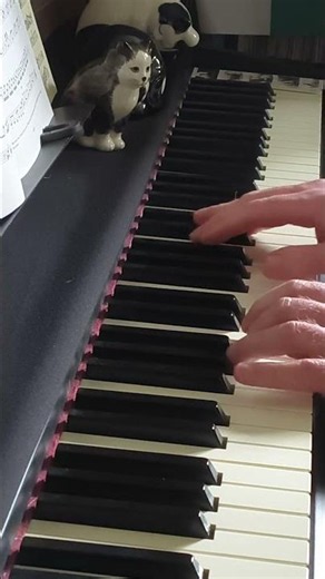 J. Haydn Sonata in D - development section