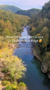Fall is here in Virginia's Blue Ridge! 🍂 The leaves are starting to turn and our calendar is bursting with festivals and events! Experience Go Outside Festival in Downtown Roanoke, Boone's Mill Apple Festival, the Vinton Fall Festival, the Mountain Magic in Fall Bluegrass, Antiques, & Crafts Festival, the Jeter Farm Fall Festival, Pumpkinfest, and more! 🎉 To plan your next metro mountain adventure, check out our "25 Events to Check Out this October in Virginia's Blue Ridge" here- https://www.v