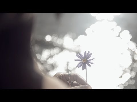 Built To Fade - Angel