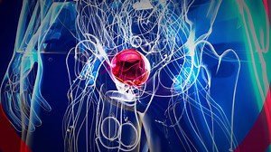 4k Abstract Animation Of Bladder Stock Motion Graphics SBV-348735752 - Storyblocks