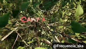 147K views · 6.7K reactions | Estrenando su video oficial  Peter Punk - Los Estrambóticos   ❤️ Este clásico está estrenado ya su video oficial échele un ojo nadamas a esto  -Charly | Frecuencia Ska | Facebook