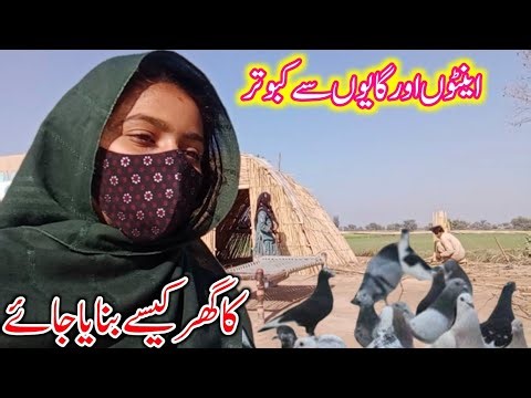 How to make a Pigeon s house with bricks and cows new house a Pigeon 