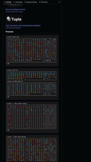 hexyl - A Beautiful Hex Viewer for Your Terminal 🔍 #shorts #coding #terminal