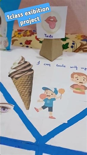 clsaa 1 sense organs project for exibition.