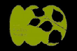 AI-powered coffee cherry sorting machine