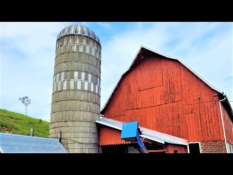 Opening Up a Silo On a Small Dairy Farm!