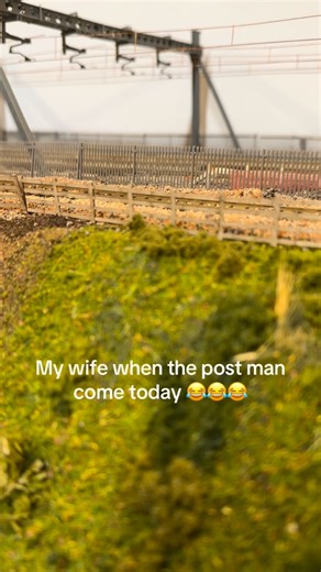 My wife today when the postman brought my new repainted by @cairnsroadworks @bachmanneurope 🚂🚃🚃🚃 class 37 😂😂 #modeltrains #modelrailway #fyp #modeltrain #class37 | Lakeside Parkway Model Railway