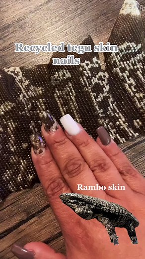 Cuidado del Tegu: Cómo Limpiar las Uñas y la Piel