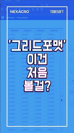 스크립트 작성 제발 하지 마세요 (기능소개) #Nexacro #넥사크로 #Gridformat