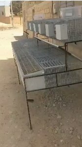 Je pense qu'il fait partir des meilleurs fabricants de Clapiers en Afrique Omega Rabbit depuis le Sénégal | Eden Farm Group