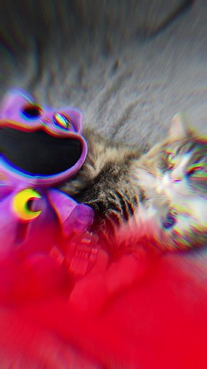Real Life Catnap Plush Unboxing - Smiling Critters