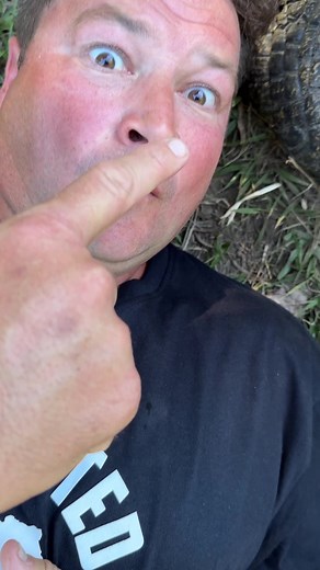 What a giant!!! | Dingo