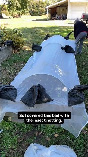 Why insect netting in place of row cover? Insect netting does not trap as much heat as row cover