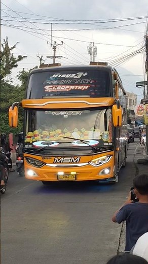 Basuri Bus Msm "Cleopatra"
