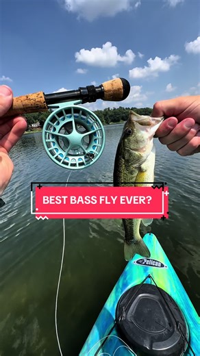 Discovering the Best Bass Fly for Fishing