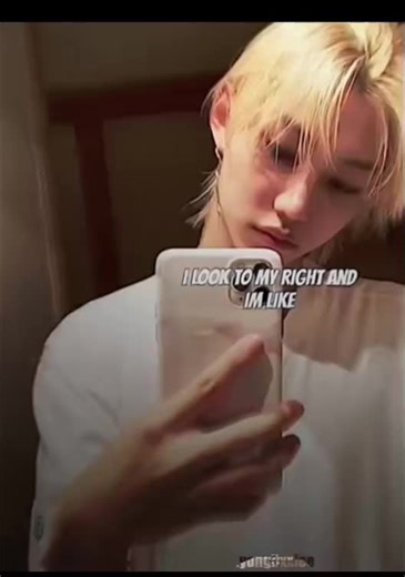 straykids fan (@straykids.fan366)’s videos with original sound - straykids fan