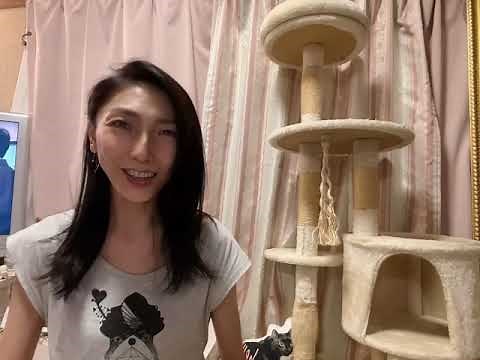性分化疾患アンドロゲン不応症