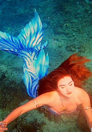 The Little Mermaid Caught Swimming in the Ocean