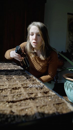 Emily Morrow on Instagram: "You can’t be too loud for these little sprouts. #crunchymom #growseeds #farming"