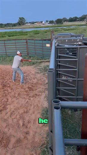 Bull explodes under the saddle in one row—no pause, no mercy, just raw chaos. #OneRowRage #BullBurst #NoTimeToReact #WildRide | George Washington Speaks